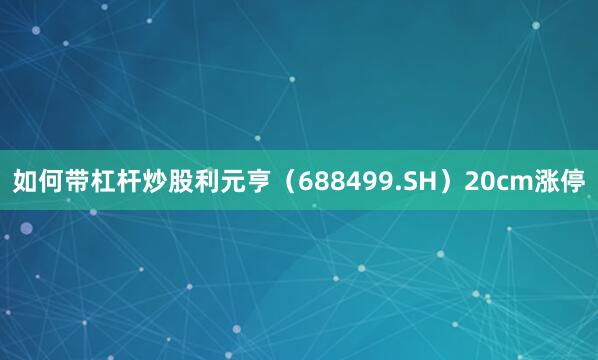 如何带杠杆炒股利元亨（688499.SH）20cm涨停