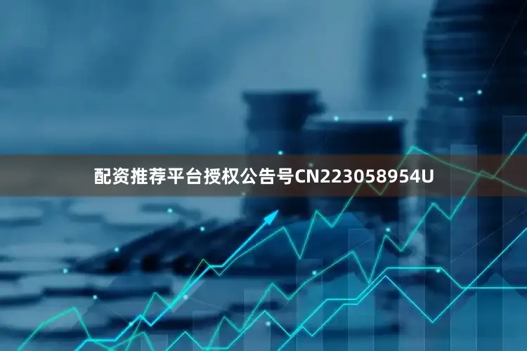 配资推荐平台授权公告号CN223058954U