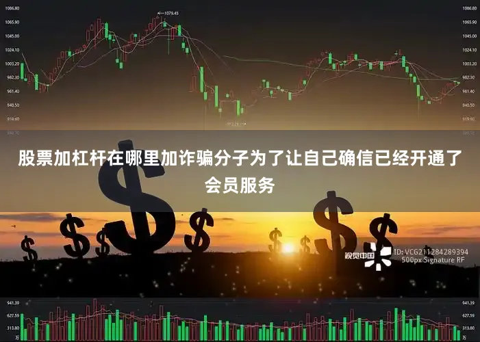 股票加杠杆在哪里加诈骗分子为了让自己确信已经开通了会员服务